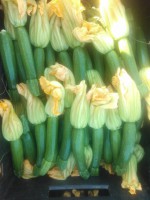 /album/fronteira-seeds/bsx430-lug-jpg/